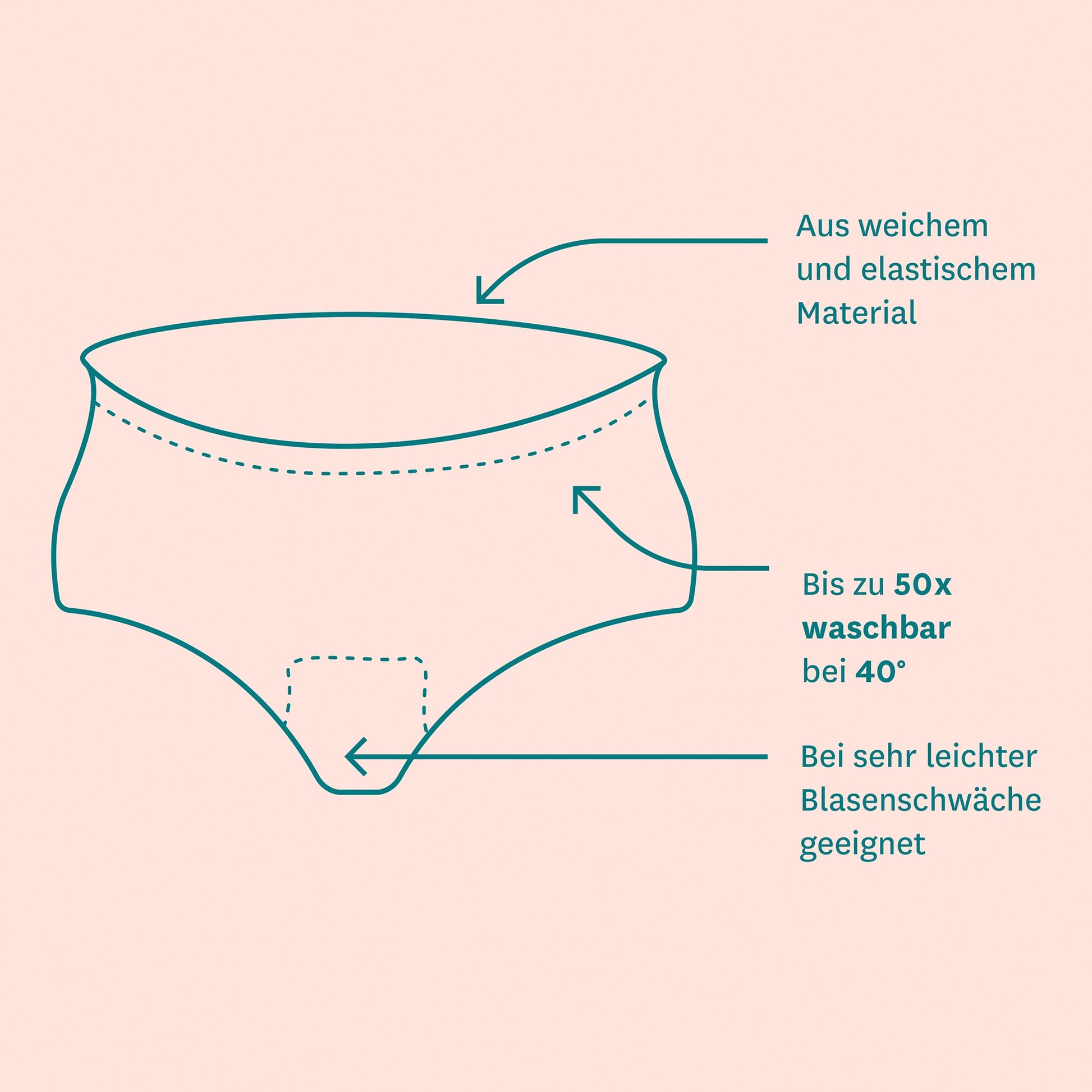 absorbent_underwear_slip_xl